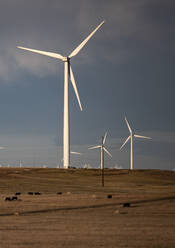Windturbinen im Feld gegen bewölkten blauen Himmel bei Sonnenuntergang - CAVF75642