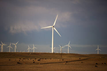 Windturbinen im Feld gegen bewölkten blauen Himmel bei Sonnenuntergang - CAVF75643