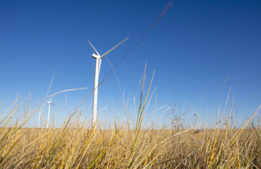 Windturbinen auf einem Feld vor blauem Himmel - CAVF75655