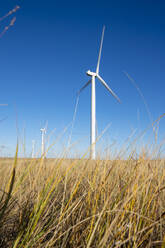 Wind Turbines in field against blue sky - CAVF75661