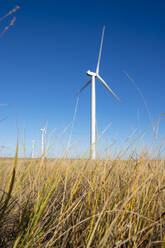 Windturbinen auf einem Feld vor blauem Himmel - CAVF75661