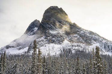 Moody Mountain Peak mit Schnee bedeckten Bäumen - CAVF75789