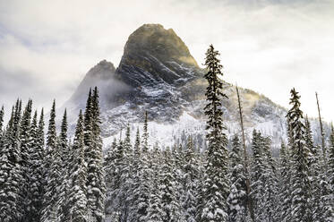 Mountain Peak Looming Over Snow Covered Trees In The North Cascades - CAVF75791