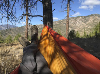 Hanging Out In Hammock With Boots - CAVF75803