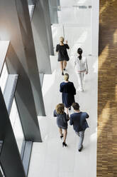 Geschäftsleute gehen in einem modernen Bürogebäude - BMOF00297