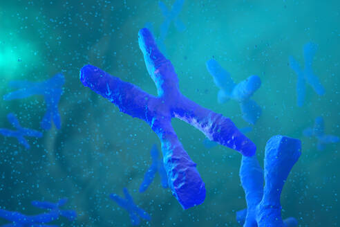 Chromosomen, 3D-Rendering - SPCF00500