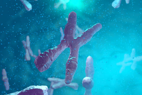 Chromosomen, 3D-Rendering - SPCF00501