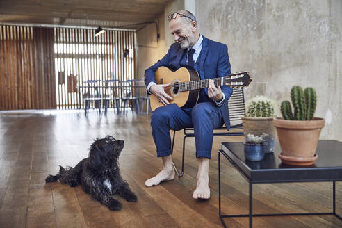 Älterer Geschäftsmann sitzt im Büro und spielt Gitarre für seinen Hund - MCF00609