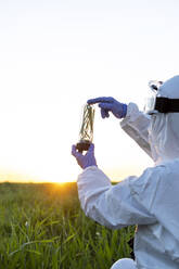 Eine Wissenschaftlerin forscht auf einem Feld und hält ein Glas mit einer Pflanze bei Sonnenuntergang - ERRF02776