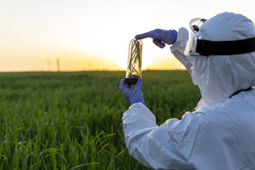 Eine Wissenschaftlerin forscht auf einem Feld und hält ein Glas mit einer Pflanze bei Sonnenuntergang - ERRF02777