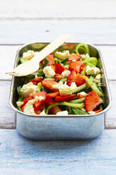 Metal lunch box with fresh mixed vegetarian salad - LVF08631