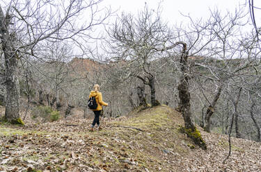 Wanderin auf Wanderweg im Wald, in der Nähe von Mina de Oro Romana, Las Medulas, Kastilien und Leon, Spanien - DGOF00535