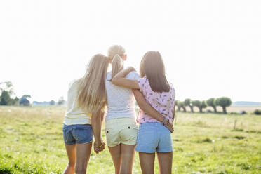 Rear view of affectionate girls on a field - SODF00632