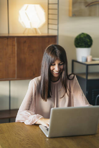 Lächelnde junge Frau, die zu Hause einen Laptop benutzt, lizenzfreies Stockfoto
