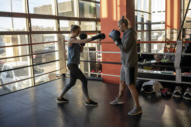 Boxerinnen kämpfen im Fitnessstudio - VPIF02078