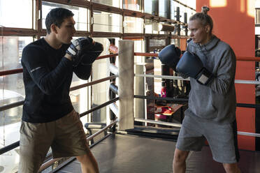 Weibliche Boxerin beim Sparring mit ihrem Trainer im Fitnessstudio - VPIF02081