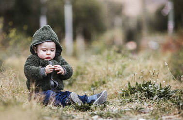 Portrait of little boy wearing green hooded jacket sitting on a meadow - LJF01372