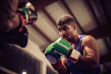 Nahaufnahme eines männlichen Boxers mit grünen Boxhandschuhen im Boxring. - CUF54921