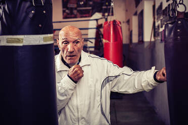 Portrait of boxing coach in boxing gym. - CUF54923