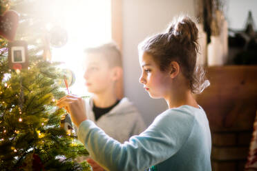 Geschwister schmücken den Weihnachtsbaum zu Hause - ISF23888