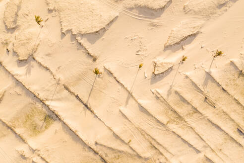 Luftaufnahme von Sand am Strand, Taiba, São Gonçalo do Amarante, Ceará, Brasilien - AAEF06633