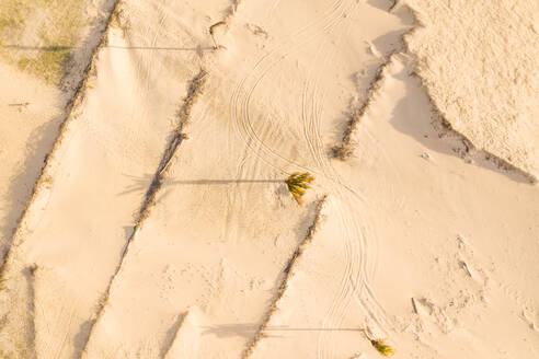 Luftaufnahme von Sand am Strand, Taiba, São Gonçalo do Amarante, Ceará, Brasilien - AAEF06634