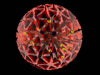 3D-gerenderte Illustration einer anatomisch korrekten Interpretation des COVID19-Virus, auch bekannt als Corona-Virus, isoliert auf Schwarz - SPCF00526