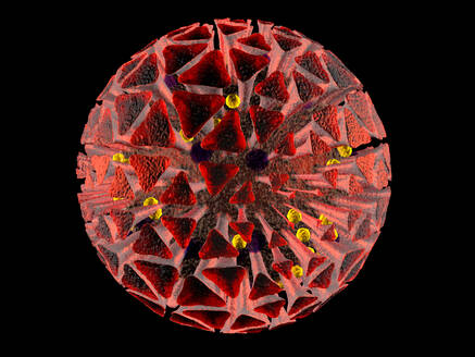 3D Rendered Illustration of an anatomically correct interpretation of the COVID19 Virus, also known as Corona Virus, isolated on black - SPCF00526