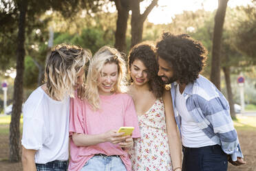 Eine Gruppe von Freunden benutzt ihr Smartphone im Freien - AFVF05467