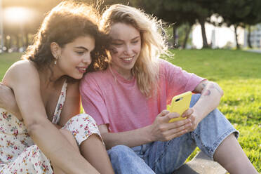 Two young women using smartphone on a meadow in park - AFVF05477