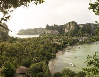 Blick von oben auf die Palmenplantage am Railay Beach bei Sonnenuntergang - CAVF75926