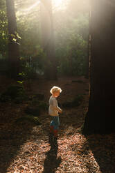 Kleines Kind geht im Wald mit schönem Licht - CAVF75940