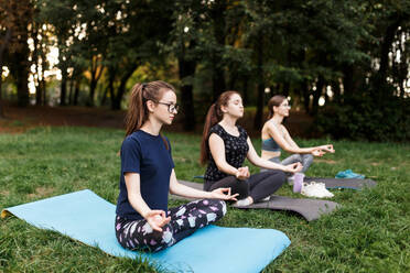 Die entspannten Mädchen machen Yoga im Park auf dem Teppich - CAVF75999