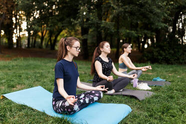 The relaxed girls is doing yoga in the park on carpet - CAVF75999