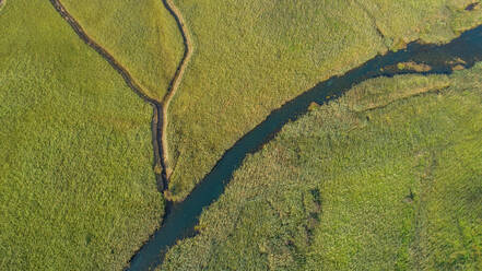 Luftaufnahme des Flusses Norin im Neretva-Tal, in der Nähe von Metkovic in Dalmatien, Kroatien. - AAEF06814