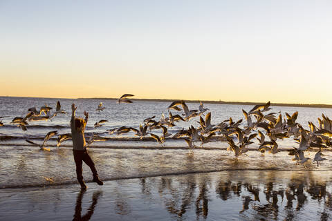 A young boy and a flock of seagulls on a beach stock photo