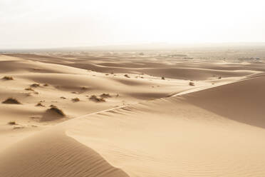 Sand dunes in Sahara Desert, Merzouga, Morocco - AFVF05552