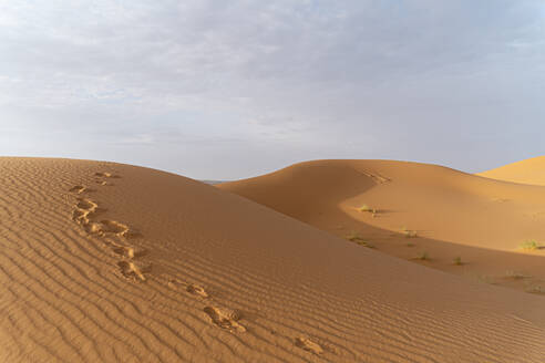 Fußabdrücke in Sanddünen in der Sahara, Merzouga, Marokko - AFVF05554