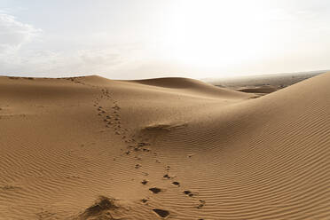 Footprints in sand dunes in Sahara Desert, Merzouga, Morocco - AFVF05555