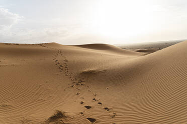 Fußabdrücke in Sanddünen in der Sahara, Merzouga, Marokko - AFVF05555