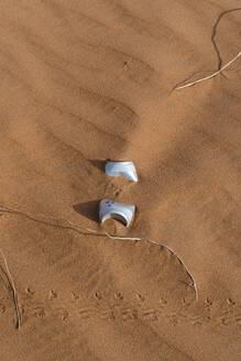 Getränkedose in einer Sanddüne in der Wüste Sahara, Merzouga, Marokko - AFVF05562