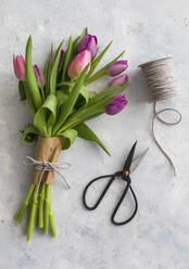 Pair of scissors, spool of string and bouquet of purple blooming tulips - JUNF01758