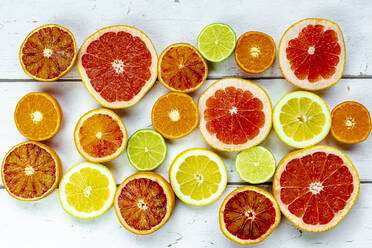 Slices of various citrus fruits - SARF04475