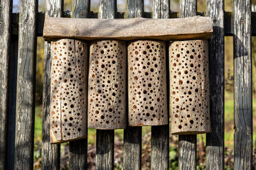 Self-built bee hotel on a wooden fence - NDF01030