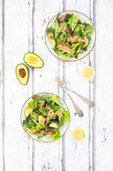 Zwei Teller verzehrfertiger grüner Salat mit Rucola, Lollo Rosso-Salat, Babyspinat, Rote-Bete-Blättern, Avocado, Feldsalat und Lachs - LVF08639