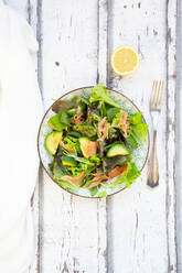 Verzehrfertiger grüner Salatteller mit Rucola, Lollo Rosso-Salat, Babyspinat, Rote-Bete-Blättern, Avocado, Feldsalat und Lachs - LVF08642