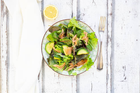 Verzehrfertiger grüner Salatteller mit Rucola, Lollo Rosso-Salat, Babyspinat, Rote-Bete-Blättern, Avocado, Feldsalat und Lachs - LVF08643