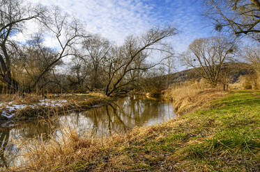 Germany, Baden-Wurttemberg, Stockacher Aach river in Bodenseeufer nature reserve - ELF02147