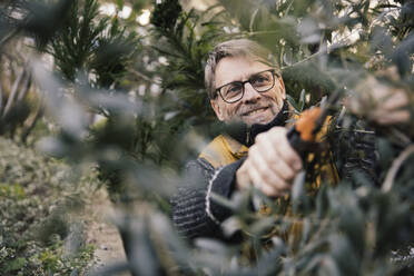 Portrait of smiling mature man pruning olive tree - MFF05068