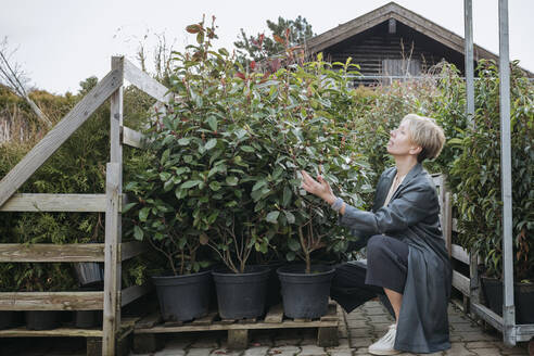 Germany, Wickede, woman choosing plant in flower shop - VYF00040